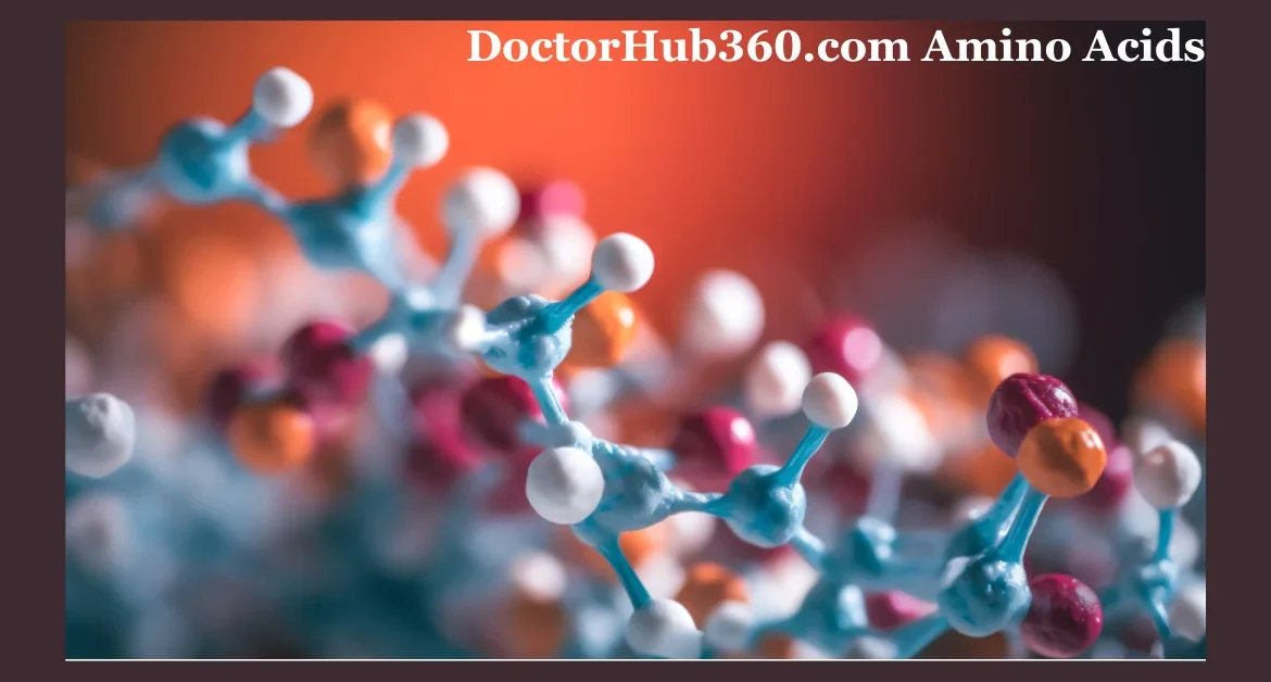 DoctorHub360.com Amino Acids: Your Ultimate Guide to Essential Nutrients